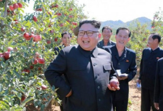 日本竟有三人向朝鲜走私食品！果断拿下