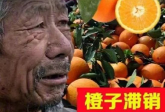 淘宝上的“金坷垃”大爷火了，卖啥啥滞销
