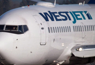 西捷航空多伦多航班途中撞上一只鸟 被迫返航
