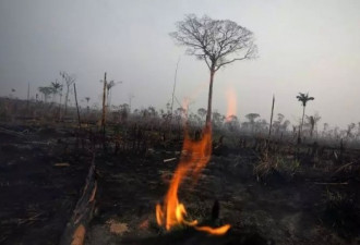都在关心亚马逊大火，但非洲这场火也不小