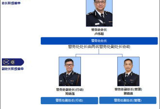 退休香港警察高层重返火线，曾处置旺角暴乱
