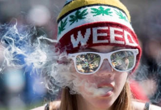加拿大吸大麻的年轻人减少，年长者增加