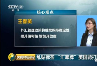 中国央行外汇局新闻发言人解读人民币汇率问题