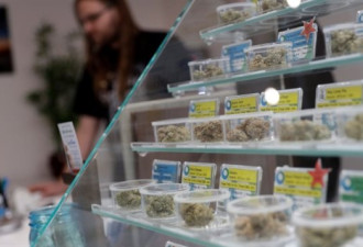 美国加州1月1日起实施消遣用大麻合法化