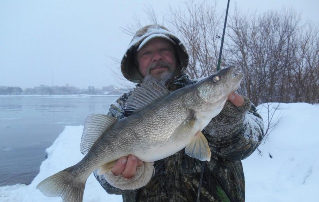 Bob Rustowicz of Cheektowaga with a dandy Christmas walleye from the Niagara.