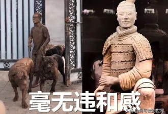 出门遛狗把自己遛成了“兵马俑”，主人哭了