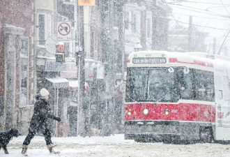 连续6天大雪+一整天冰雨！140万人逃离多伦多