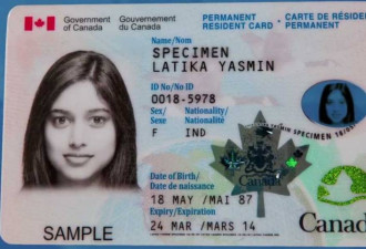 不再邮寄！加拿大移民部换枫叶卡使用新方法！