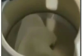 美女酒店煮卫生巾 无法想象酒店烧水壶里煮过啥