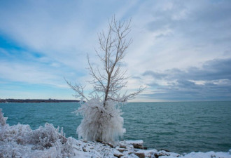 极寒一周造就多伦多湖滨天然奇幻冰景 举世无双