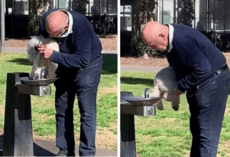 令人作呕！悉尼男子公共饮水机处给狗洗屁股