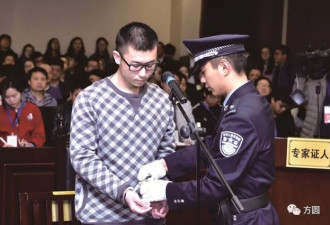 中美协作 留学生杀女友回国被判无期 细节披露