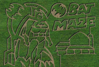 多伦多旁农场&quot;玉米地迷宫&quot; 还能采摘苹果乘马车