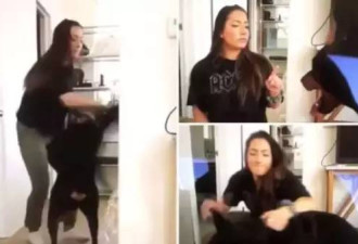 “因为玩游戏被猫打扰我故意给猫喂了伏特加”