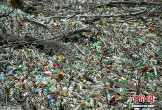 美国国家公园下起"塑料雨" 90%雨水含塑料纤维