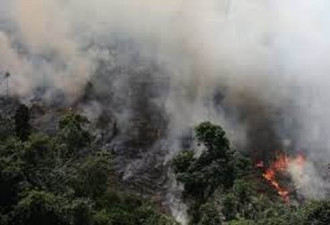 亚马逊雨林浓烟滚滚 BBC为你解答10个问题