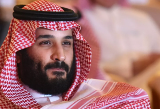 央视详解17沙特权力格局变动 揭&quot;地表最强&quot;王子