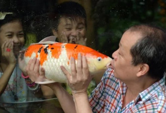 花千万买条鱼 廉价的中国富豪正成为世界笑话