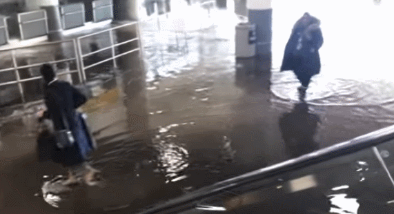 彻底乱了！纽约机场淹水行李遭殃 受困旅客抓狂