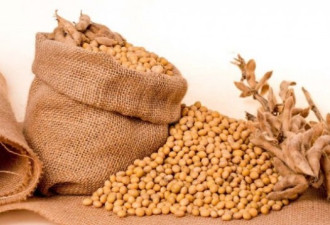 路透社：中国仍在偷买美大豆