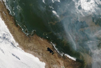 亚马孙雨林在燃烧：浓烟吹到3千公里外