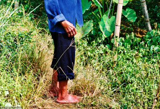 桂林百岁老妇赤脚干活 背柴上下山如履平地