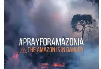 亚马逊大火狂烧，但他们并没有集体沉默