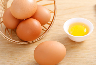 印尼鸡肉价格崩盘 政府要求扔1000万个鸡蛋