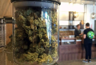 加州绿卡居民被警告 别碰合法大麻 小心遣返