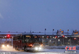 极寒天气横扫美国 暴雪致纽约高速公路封闭