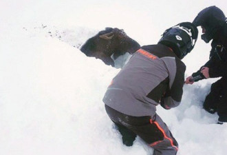 风雪太大 加拿大一驼鹿惨被活埋进雪坑中