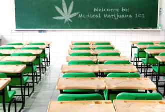 加州将通过新法案：允许医用大麻合法进校园！