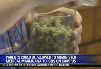 加州将通过新法案：允许医用大麻合法进校园！