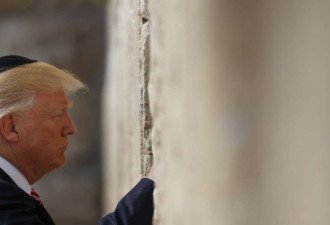 以色列媒体 不如把哭墙改名“川普墙”