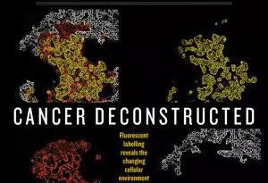 今日《自然》封面：癌症研究取得了重要突破！