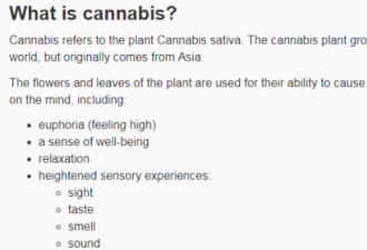 合法化箭在弦上 加拿大政府竟出大麻科普指南