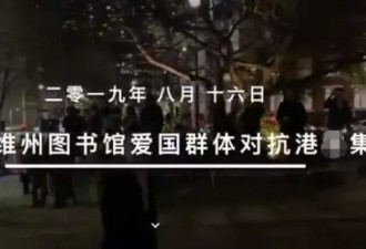 “冲鸭，留学生合唱团”！上万华人守护使领馆