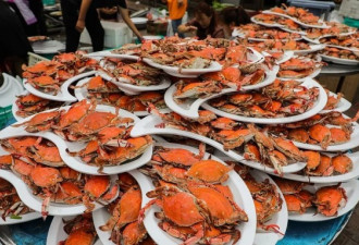 东北农家婚宴场面壮观！1400只螃蟹堆成山
