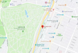 公园惊魂夜！女子被捅，反复遭凌辱性侵