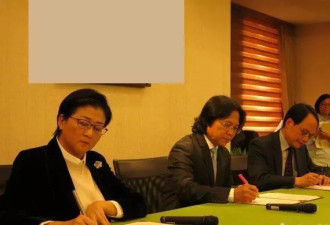 蒋宋美龄在台湾最后一个基地被蔡英文当局铲除