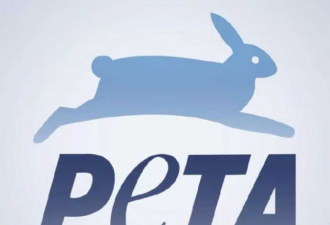 多伦多的章鱼刺身也被抵制 PETA是怎么作妖的?