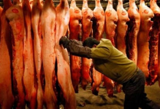 贸易战加上非洲猪瘟 中国进口美猪代价狂升