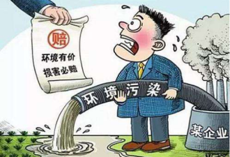 中国一大波新法规元旦开始实施
