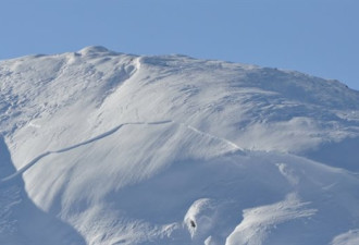 雪崩不断，救援人员告诫滑雪者带上应急用品