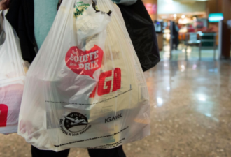 多伦多禁塑曾经失败 这两个城市今年禁塑料袋