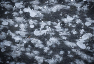 北京奥林匹克公园冰面出现龙吐泡奇观