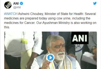 印度部长宣称牛尿能治癌 整个国家变愚蠢