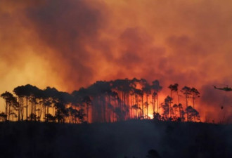 不单单亚马逊 全世界野火都烧了起来..天灾人祸
