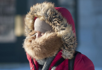 加拿大今年为何这么冷？科学家的回答值得一读