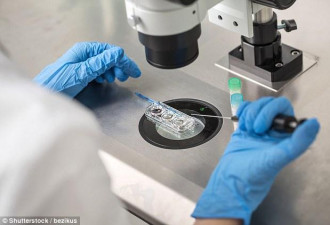 英国科学家用皮肤细胞代替精子和卵子来怀孕